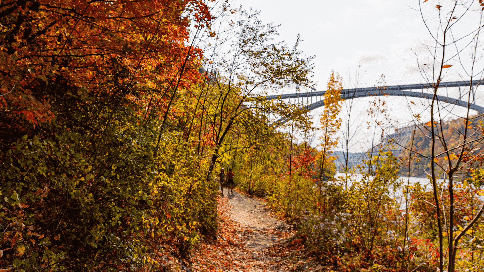 Event : Fall Foliage Walk